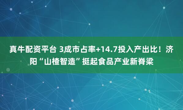 真牛配资平台 3成市占率+14.7投入产出比！济阳“山楂智造”挺起食品产业新脊梁